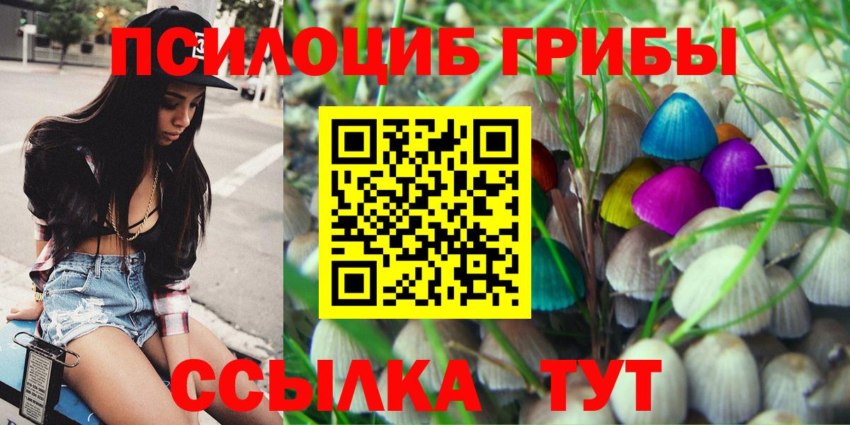 Псилоцибиновые грибы прущие грибы  Вход с VPN  Усть-Джегута 